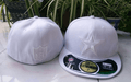 Dallas Cowboys White Fitted Hat with Embroidered Star and NFL Logos