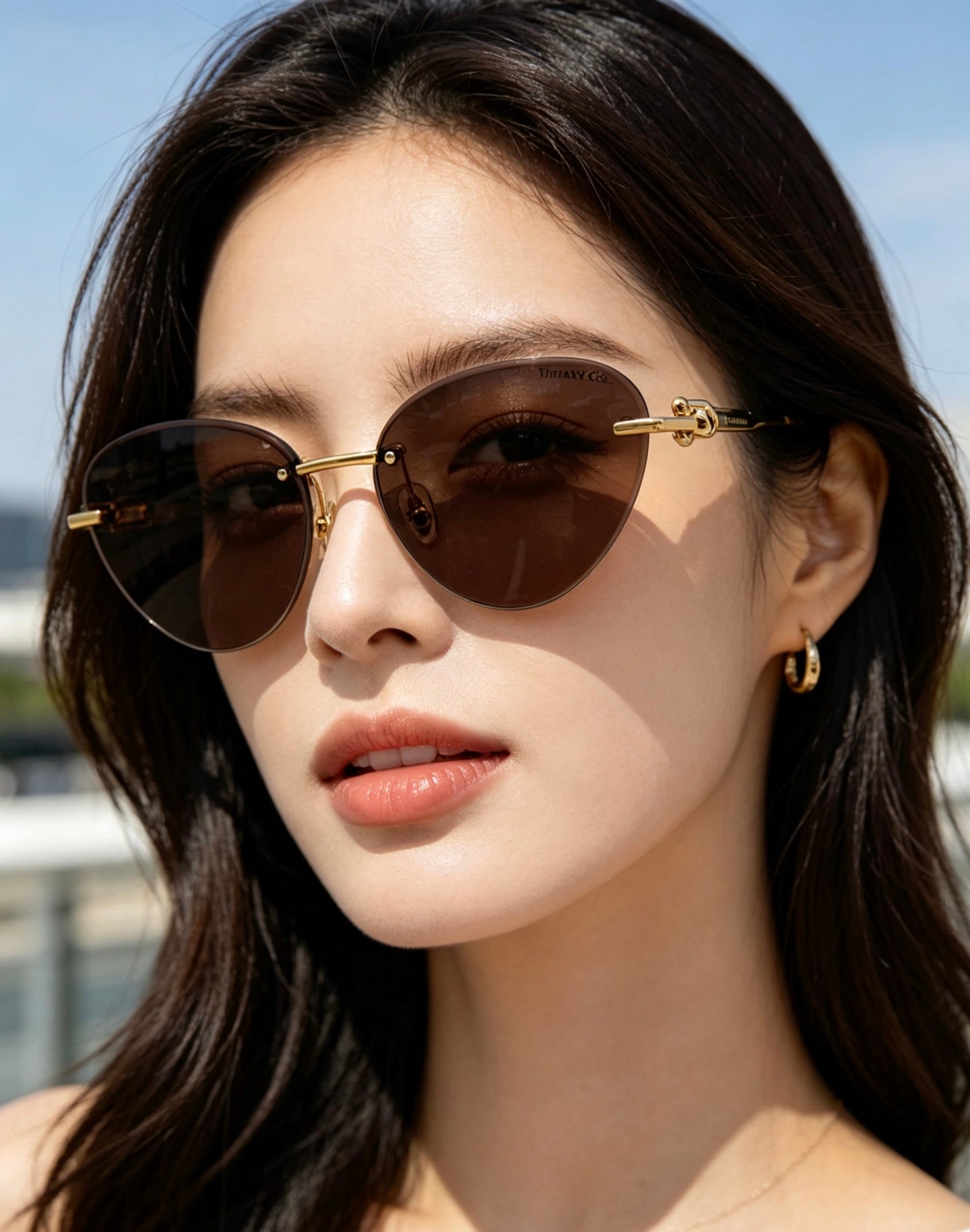 Tiffany & Co. FE 2175I Sunglasses