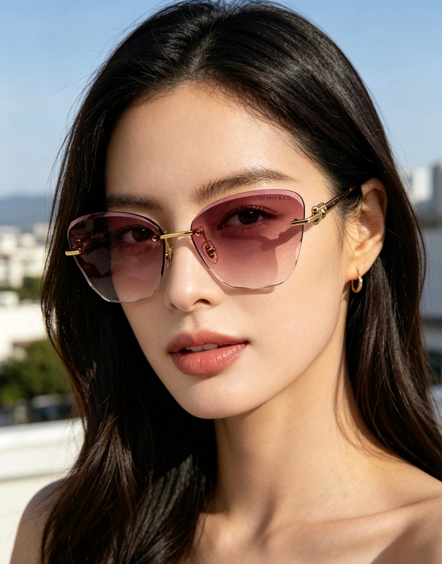 Tiffany & Co. TF3103SK Sunglasses