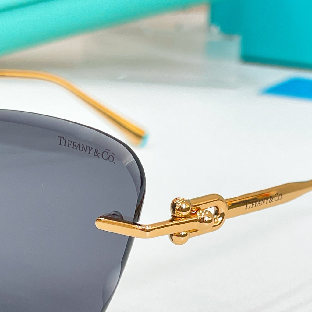 Tiffany & Co. TF3103SK Sunglasses