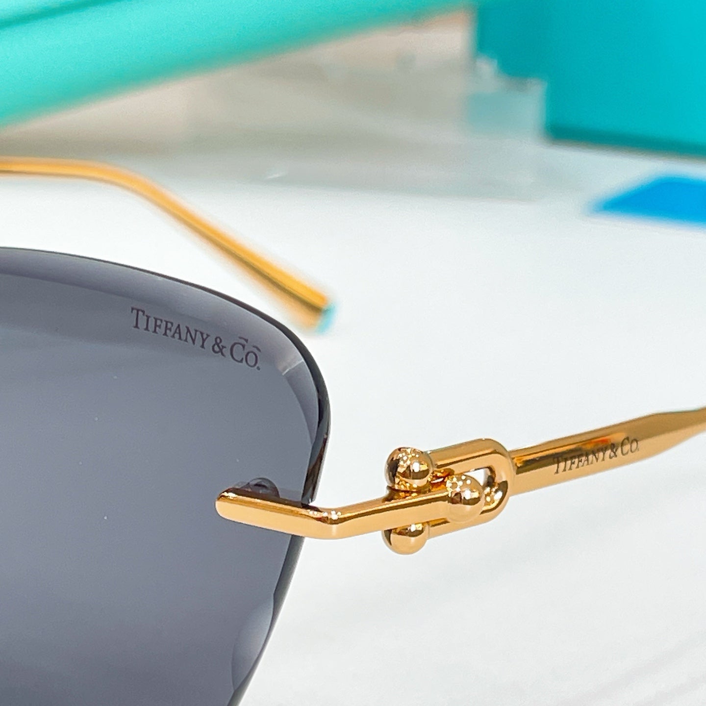 Tiffany & Co. TF3103SK Sunglasses