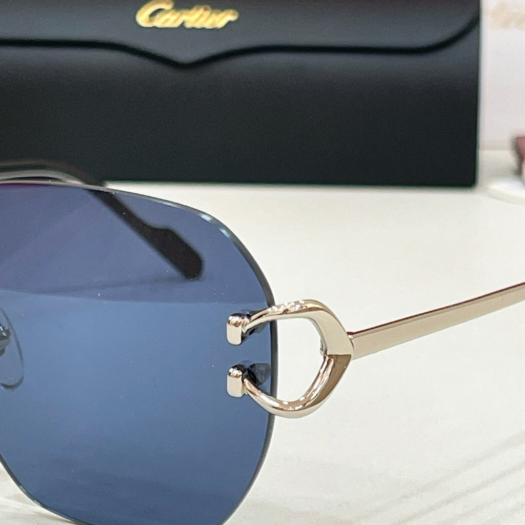 Cartier CT0394S Sunglasses