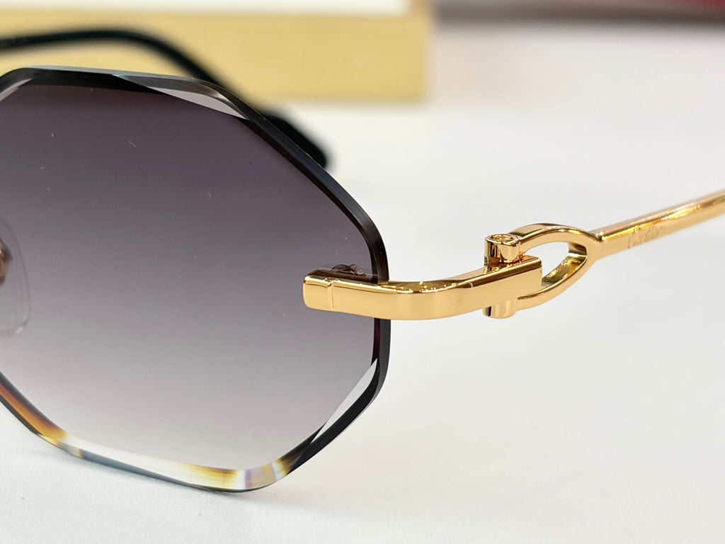 Cartier CT01831O Sunglasses