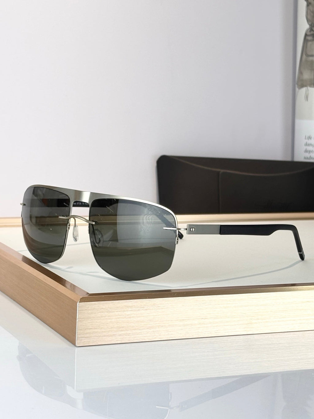 Persol Pedralbes 8738 Sunglasses