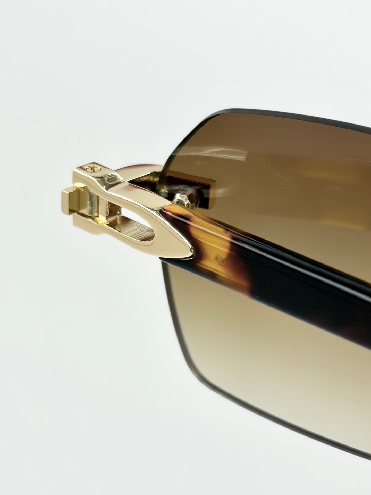 Cartier CT0623O Sunglasses