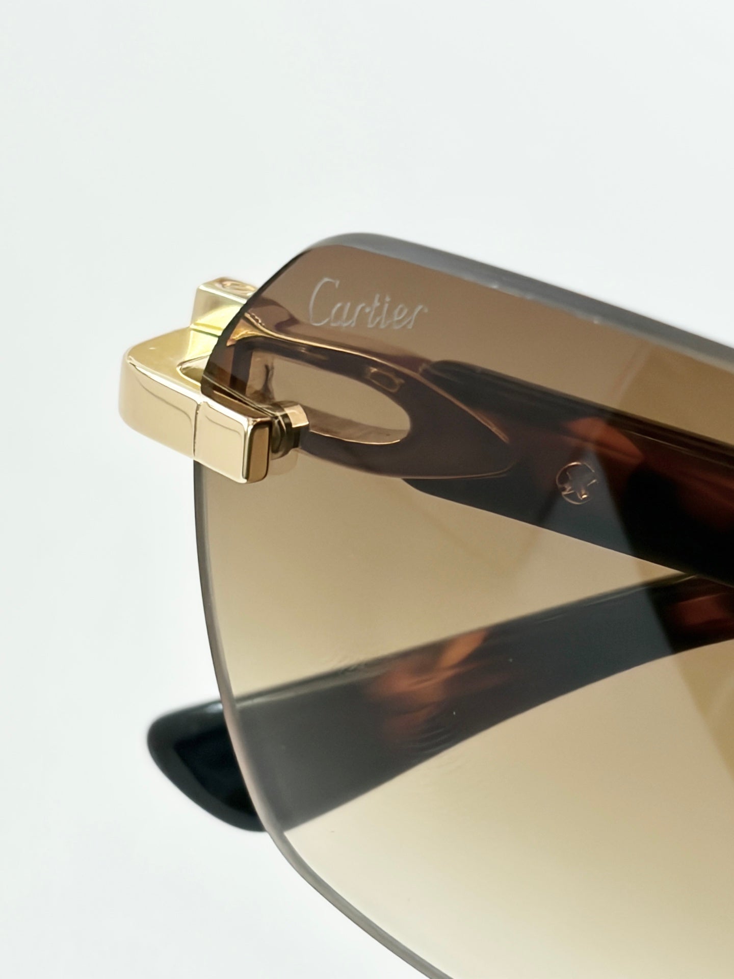 Cartier CT0623O Sunglasses
