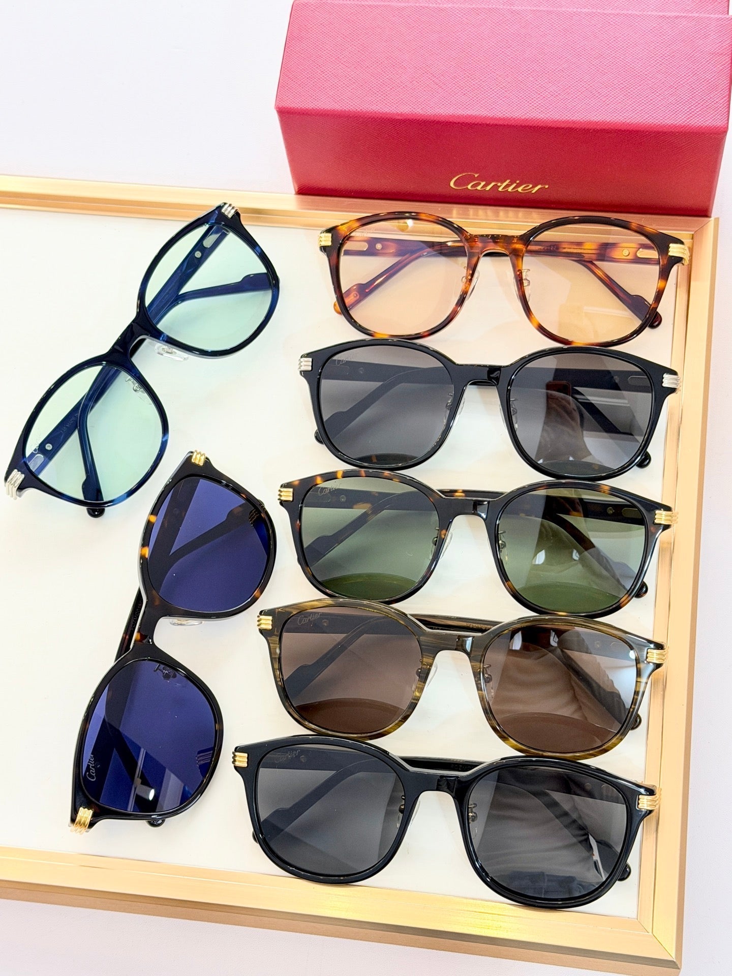 Cartier CT0302S Sunglasses