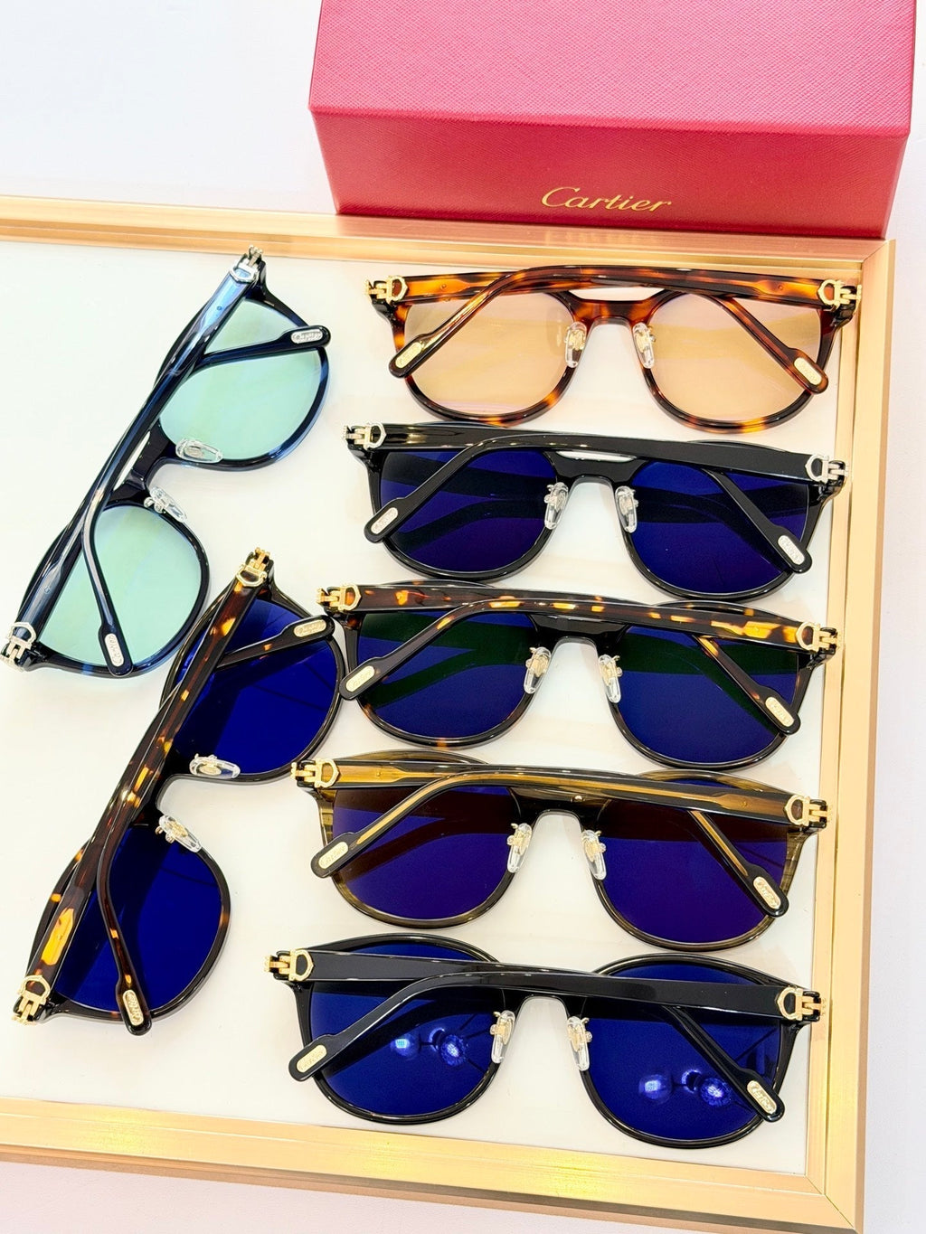 Cartier CT0302S Sunglasses