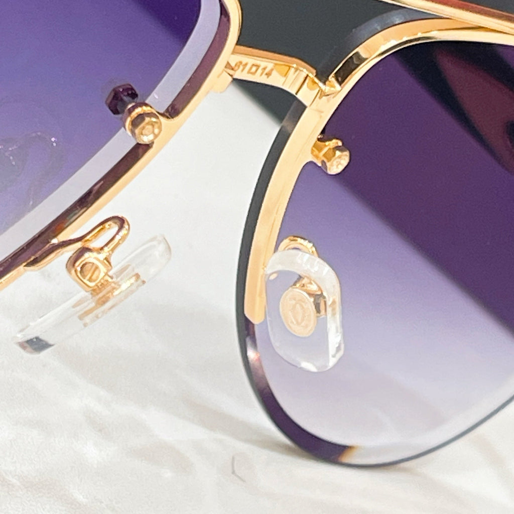 Cartier CT0846S Sunglasses