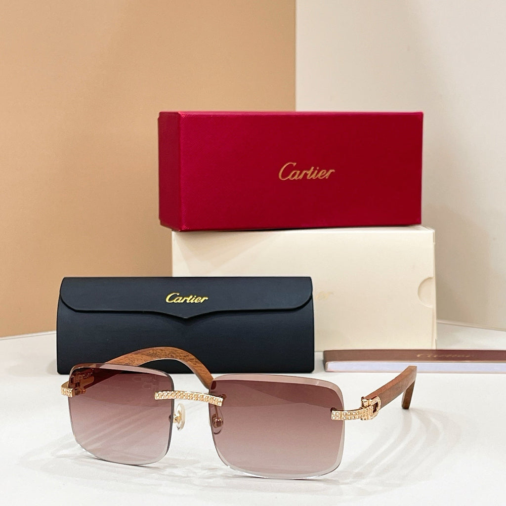 Cartier CT0012 Sunglasses