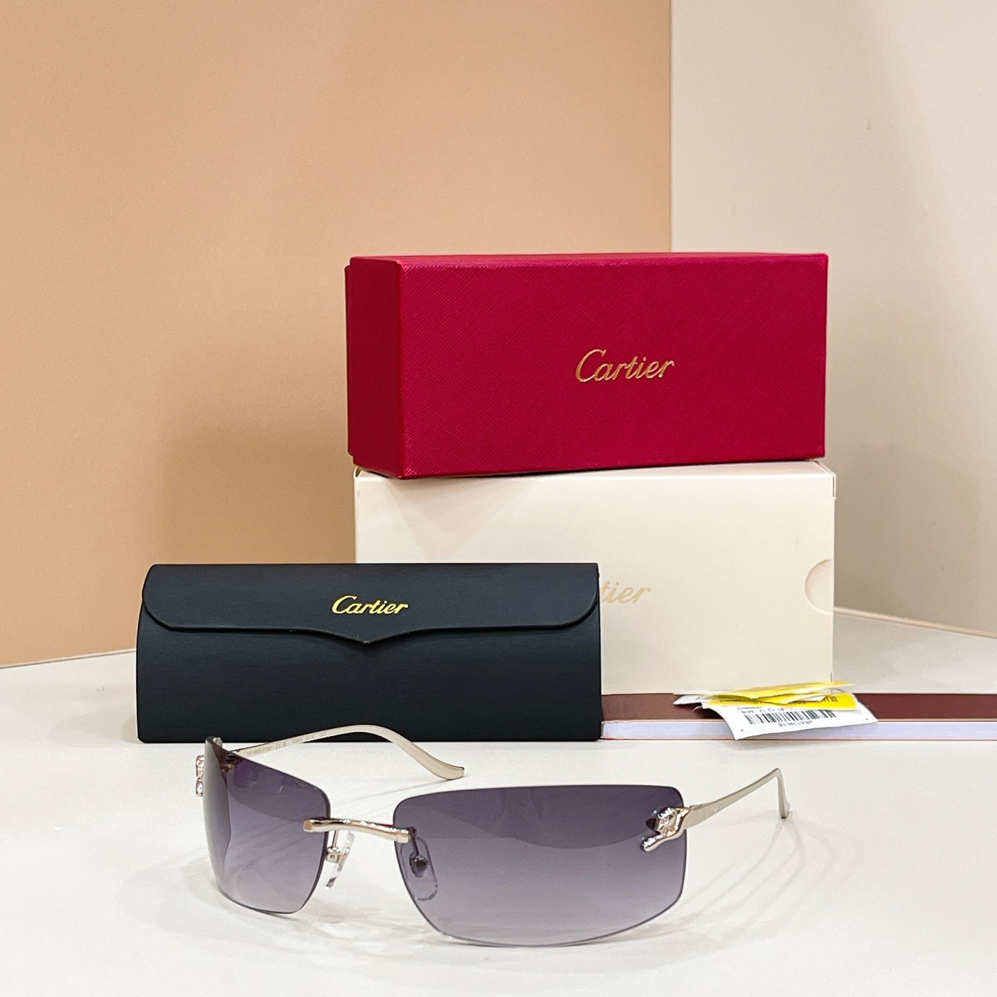 Cartier CT0503S Sunglasses