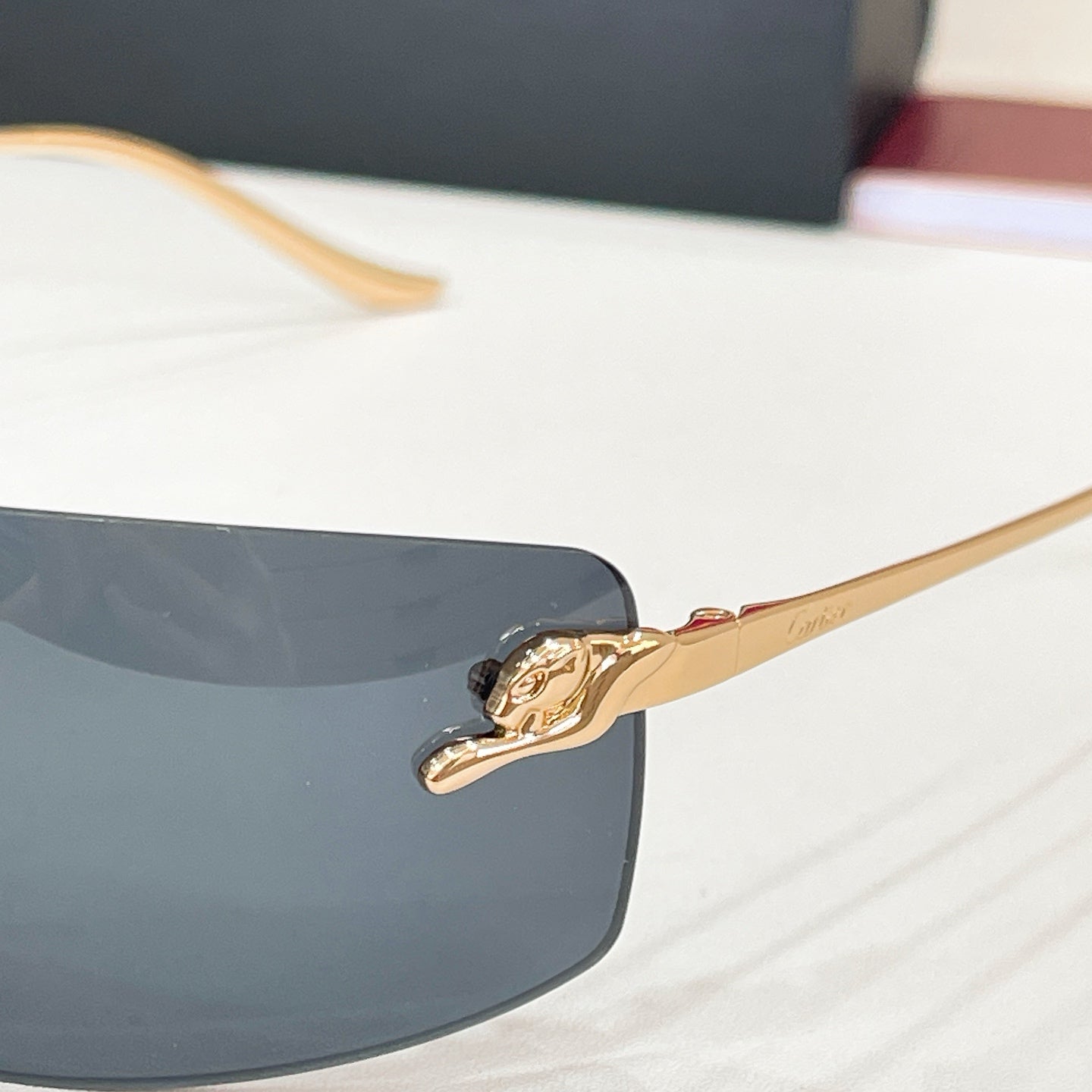 Cartier CT0503S Sunglasses