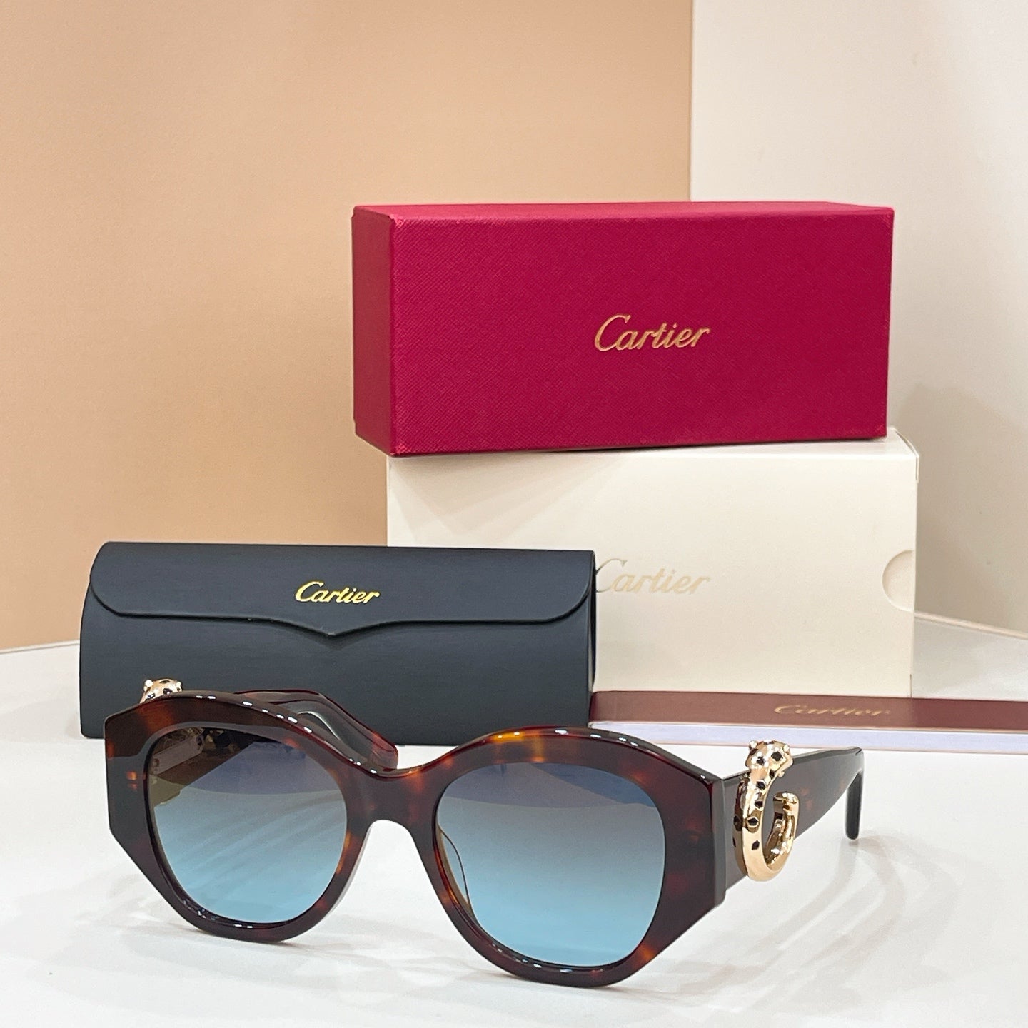 Cartier CT0502S Sunglasses