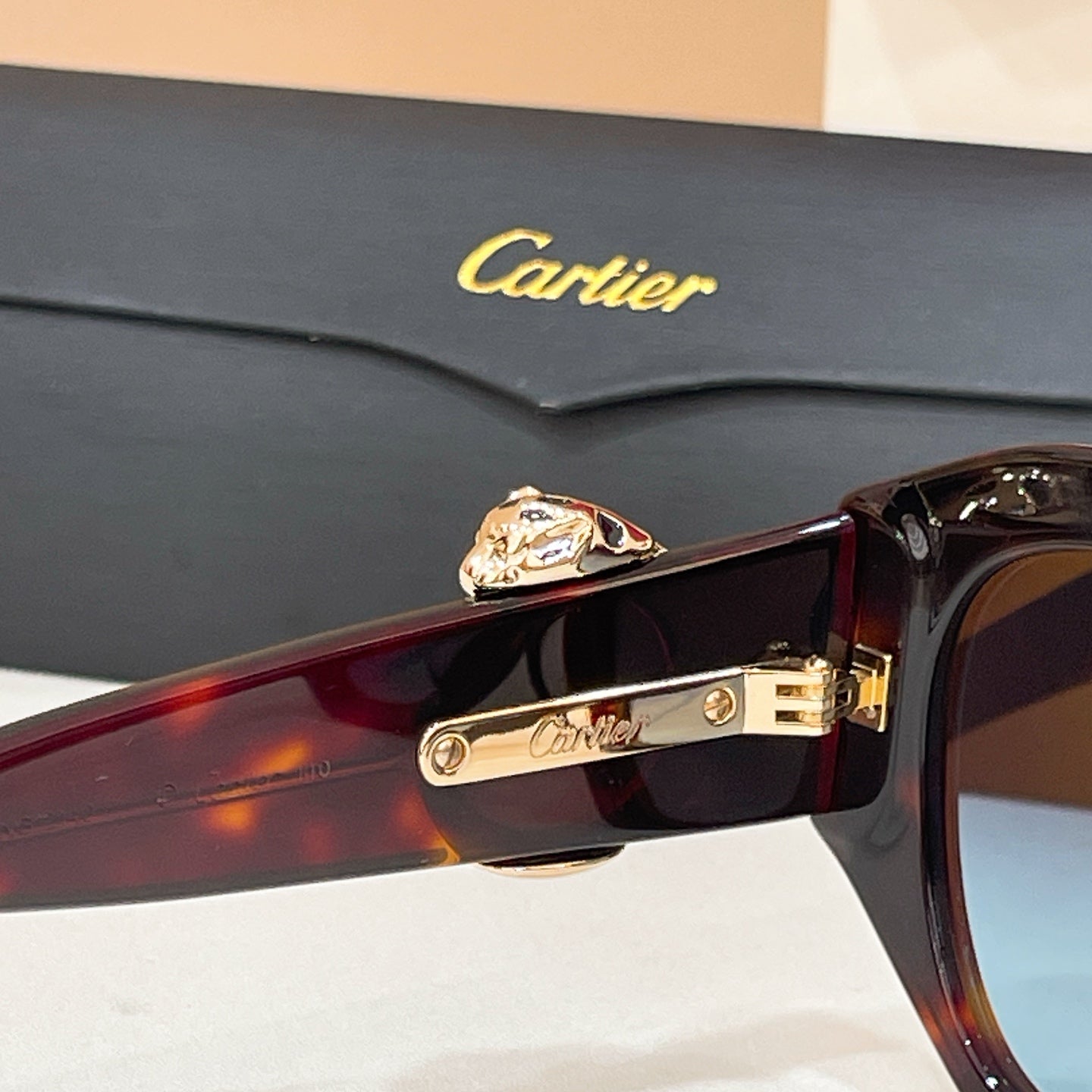 Cartier CT0502S Sunglasses
